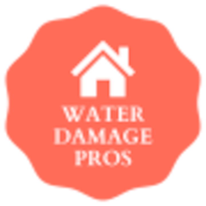 water damage pros logo